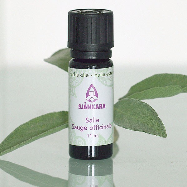 Salie etherische olie bio (11 ml)