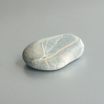 Stonehenge steen (Preseli) 03