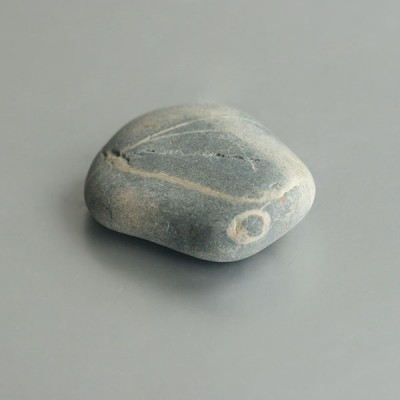 Stonehenge steen (Preseli) 03