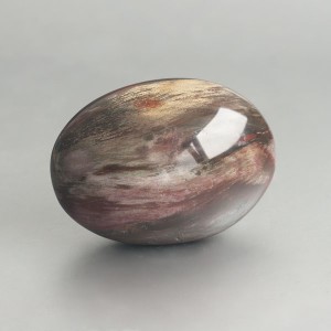 Versteend hout handsteen 01