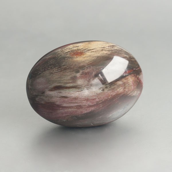Versteend hout handsteen 01