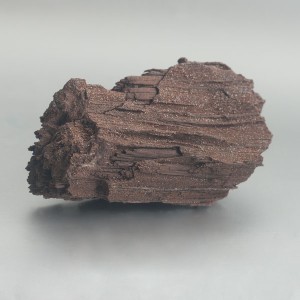 Versteend hout met bergkristal ruw | in verbinding met Gaia | Blue Joy