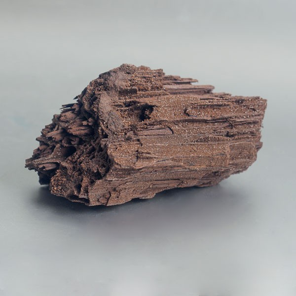 Versteend hout met bergkristal ruw