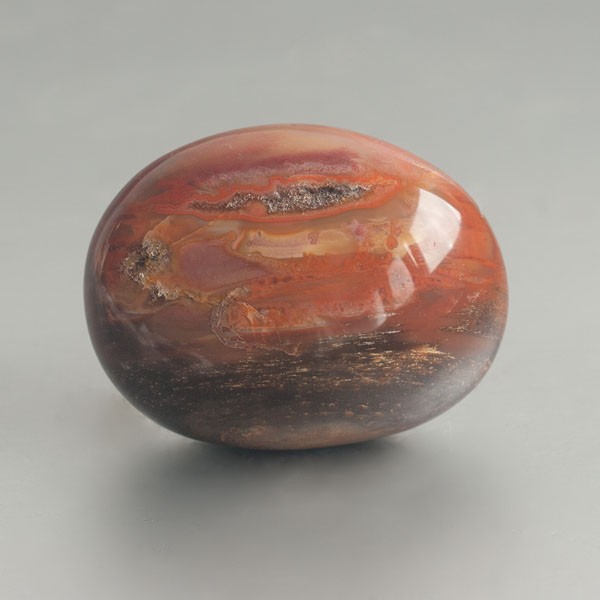 Versteend hout handsteen 02