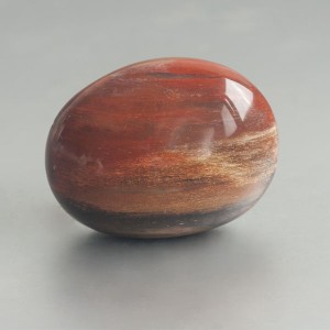 Versteend hout handsteen 02 foto 2