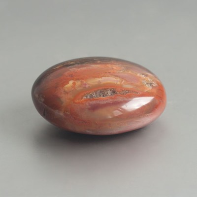 Versteend hout handsteen 02 foto 3
