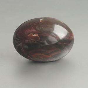 Versteend hout handsteen 01 foto 2