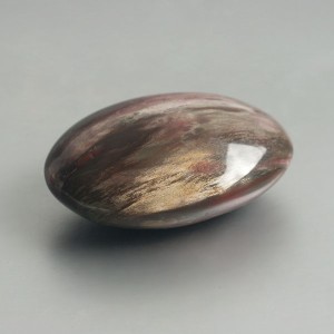 Versteend hout handsteen 01 foto 3