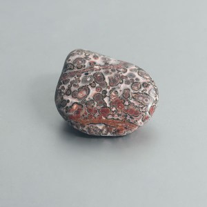 Leopard Skin Jaspis knuffelsteen 01