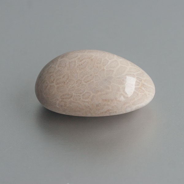 Fossiel Koraal knuffelsteen 01