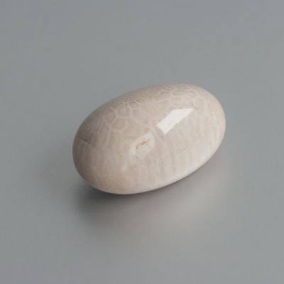 Fossiel Koraal knuffelsteen 01 foto 2