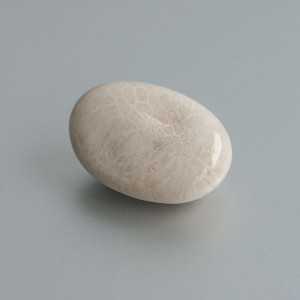 Fossiel Koraal knuffelsteen 01 foto 3