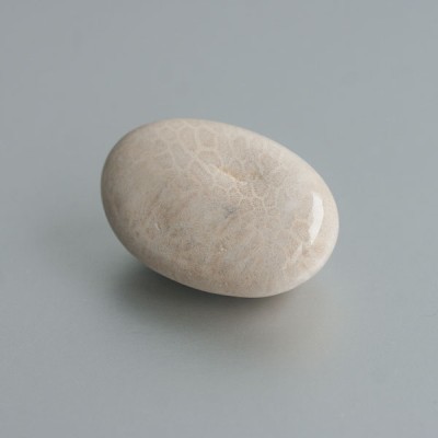 Fossiel Koraal knuffelsteen 01 foto 3