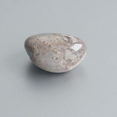 Fossiel Koraal knuffelsteen 02