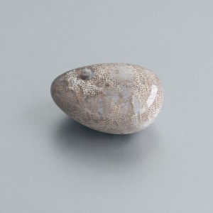 Fossiel Koraal knuffelsteen 02 foto 3