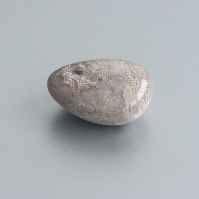 Fossiel Koraal knuffelsteen 02 foto 3