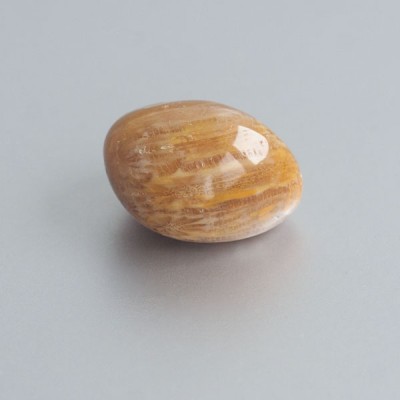 Fossiel Koraal knuffelsteen 03 foto 2