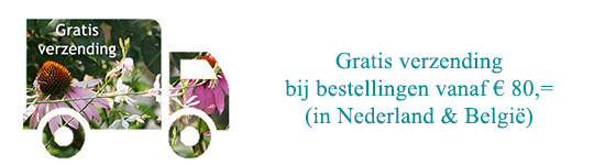 gratis verzending vanaf 80 euro in Nederland en België